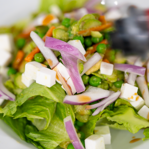 salad with onion