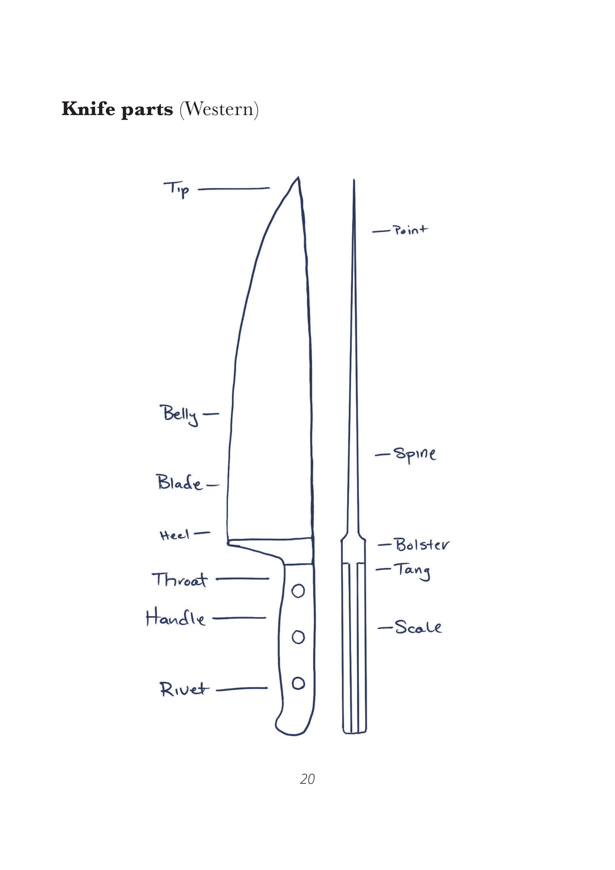 In A Kitchen Knife Field Guide: Less Mystery, More Confidence sample page 1