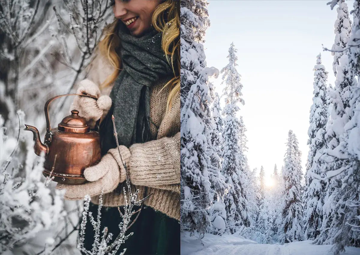 
                  
                    Nordic Winter Cookbook
                  
                