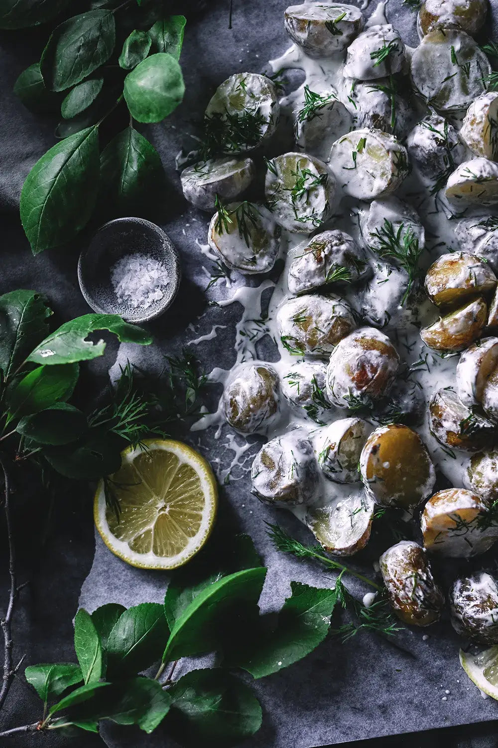 Cozy Publishing Cookbook From Oven To Table From Oven To Table