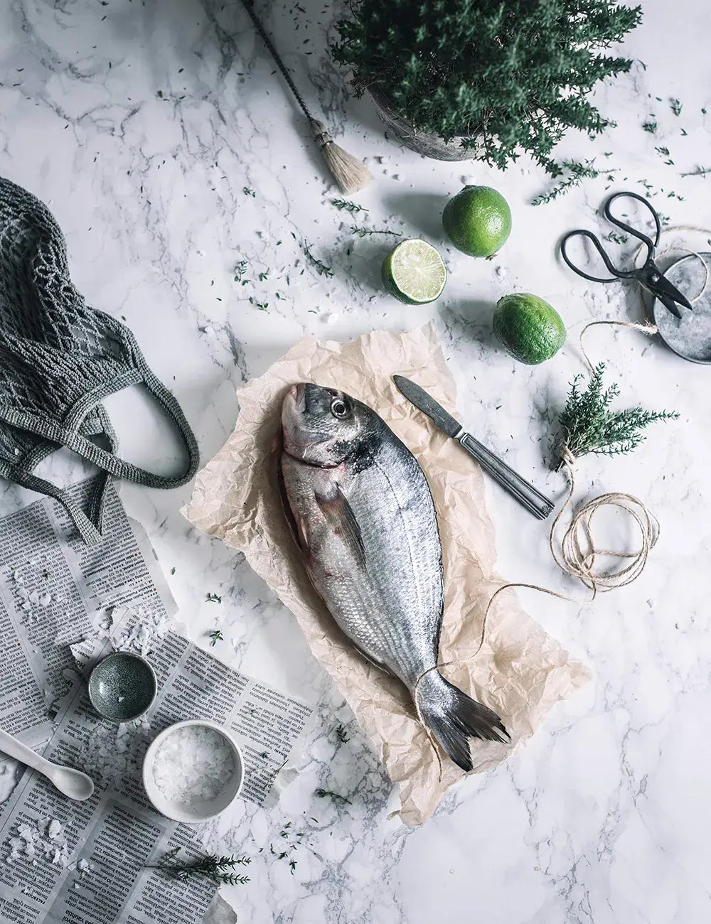 Cozy Publishing Cookbook From Oven To Table From Oven To Table