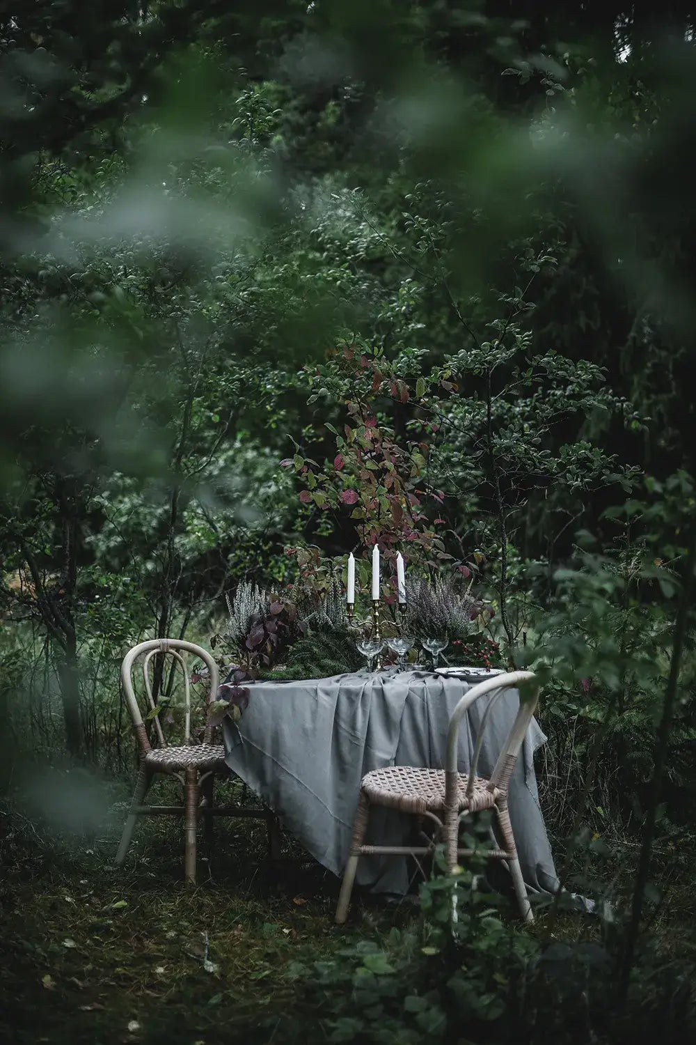 Cozy Publishing Cookbook From Oven To Table From Oven To Table