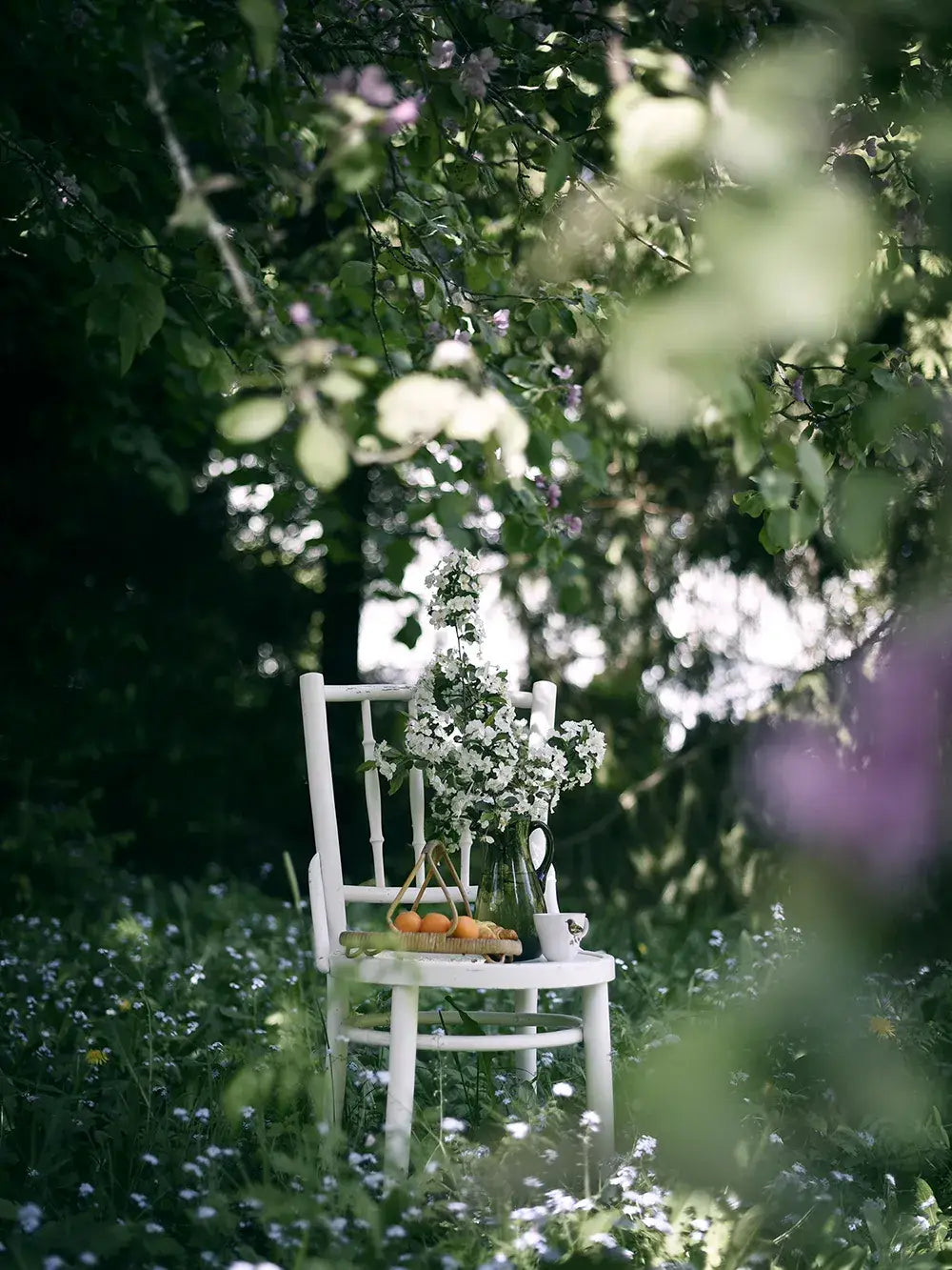 Cozy Publishing Cookbook From Oven To Table From Oven To Table