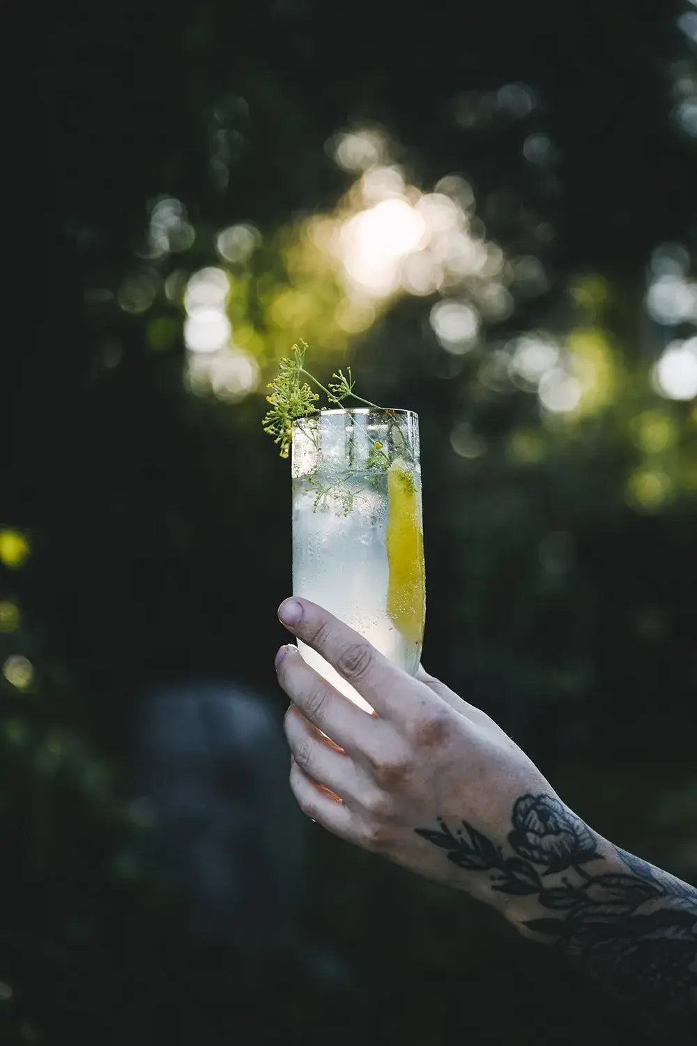 Cozy Publishing Cookbook MENU MENU