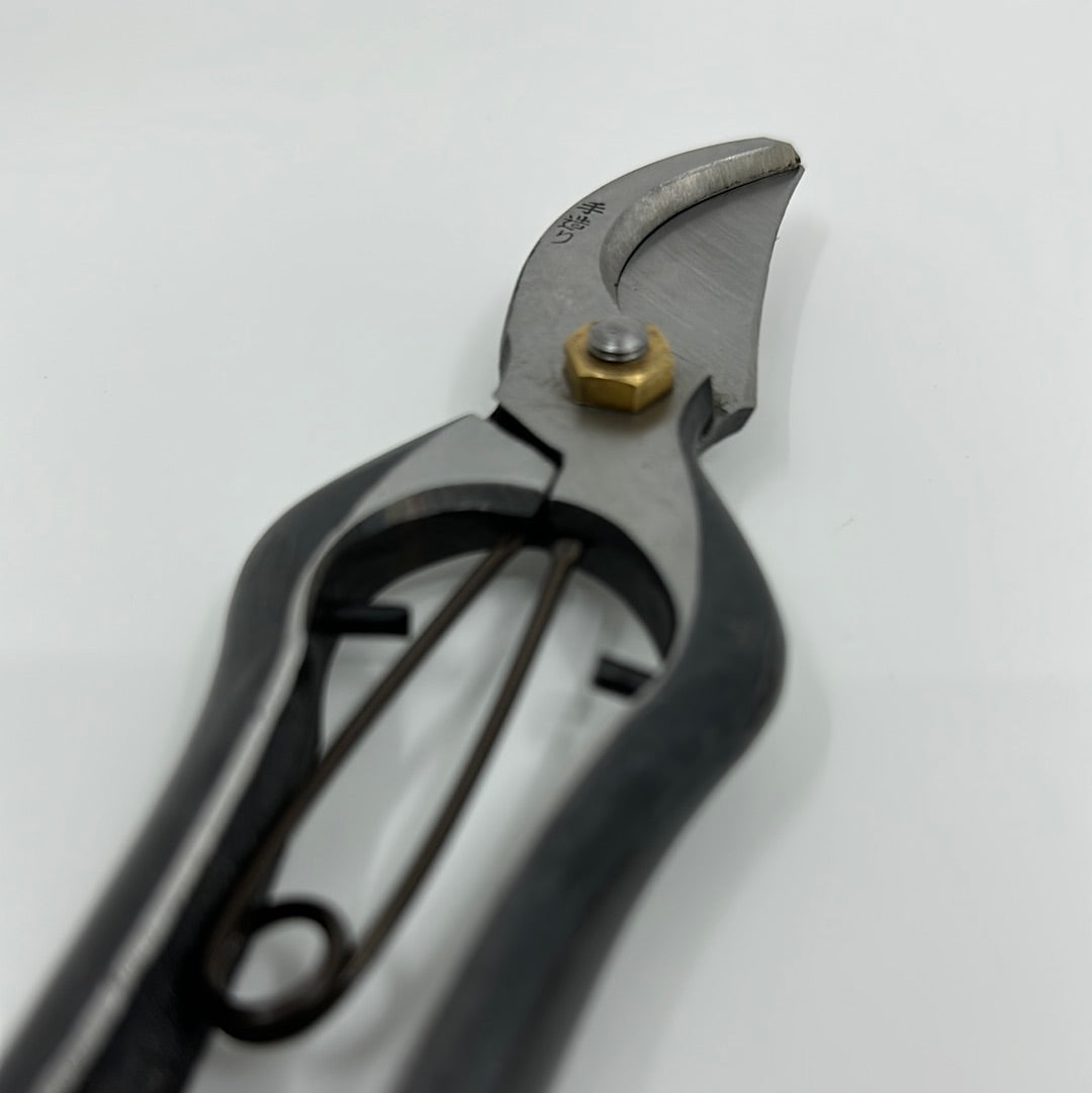 Kikuichi High Carbon Steel Pruners
