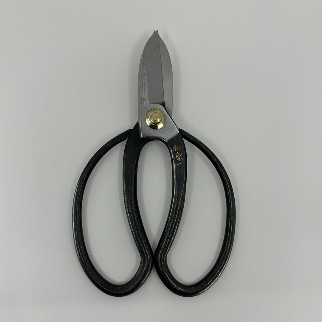Kikuichi Tools & Utensils Shears | Flower Arrangement Shears • Flower Arrangement • Kikuichi