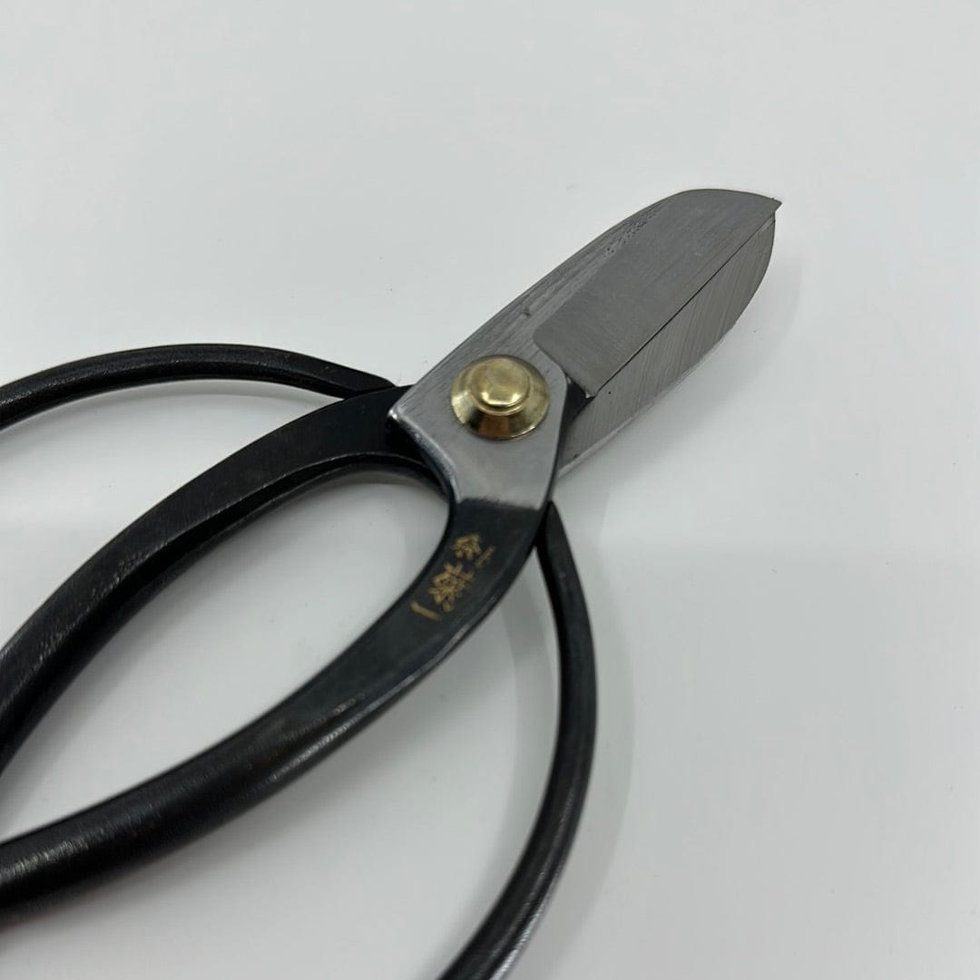 Kikuichi Tools & Utensils Shears | Flower Arrangement Shears • Flower Arrangement • Kikuichi